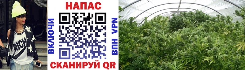 Каннабис White Widow  Ижевск 